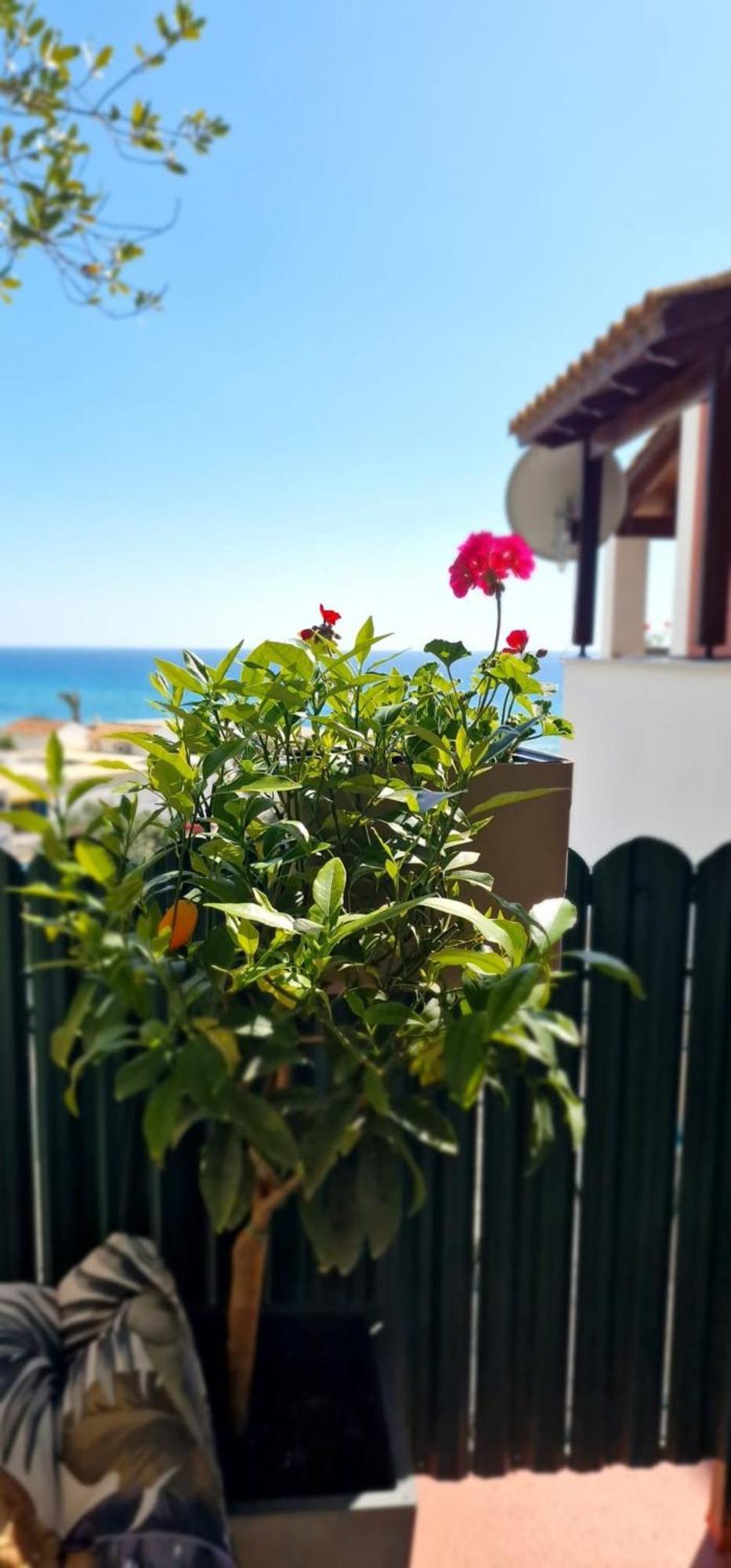 Seablue 137 Corfu Glyfada Apartment Luaran gambar