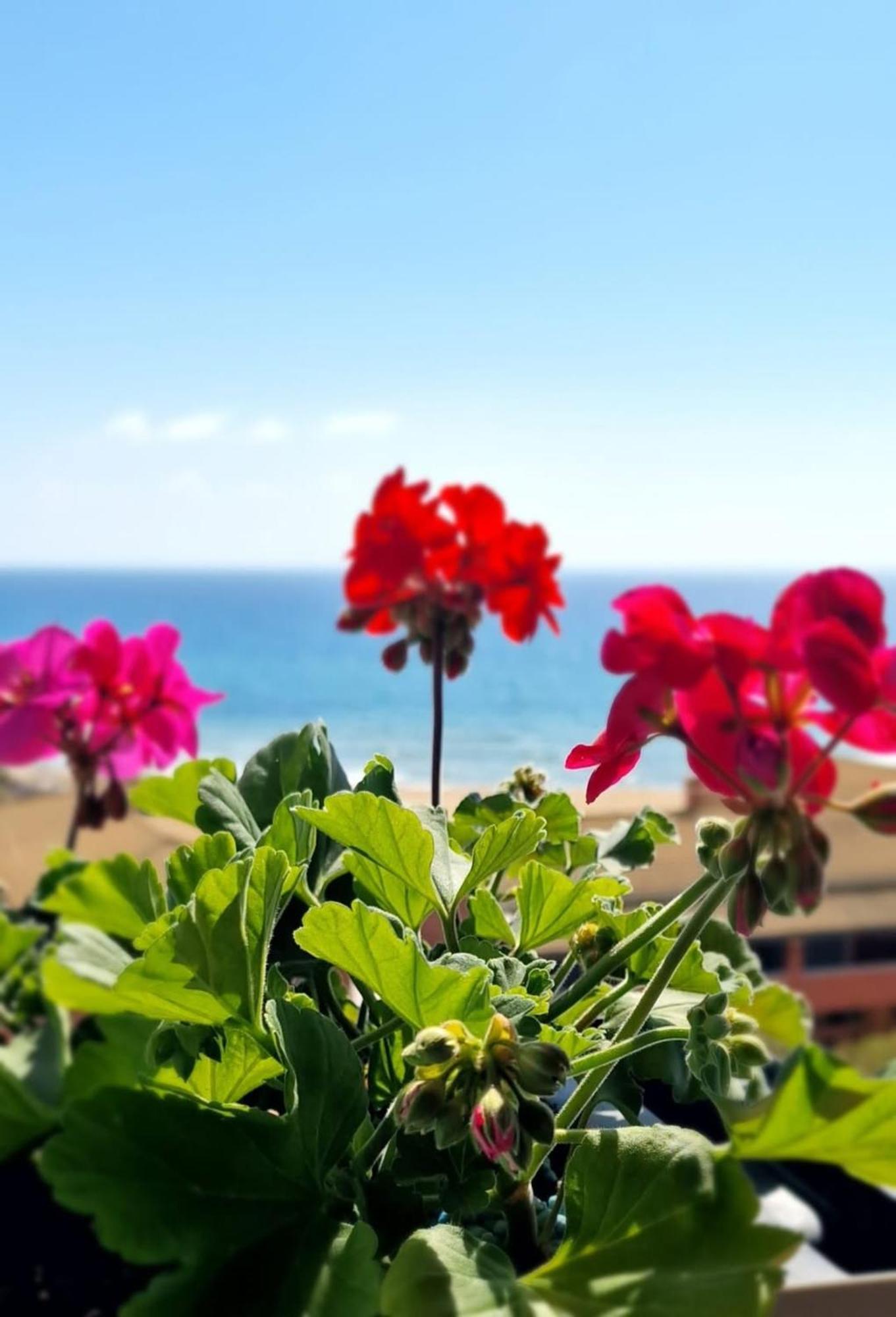 Seablue 137 Corfu Glyfada Apartment Luaran gambar